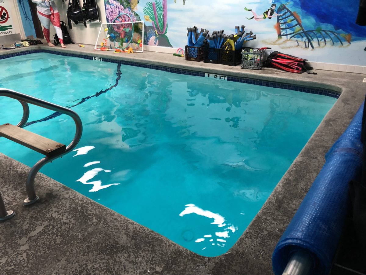 Scuba Certification At Dive World Austin From A Mermaids Perspective