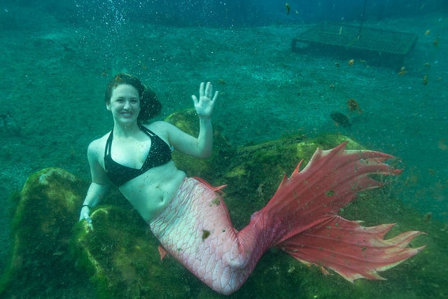Mermaid Aqua Tails
