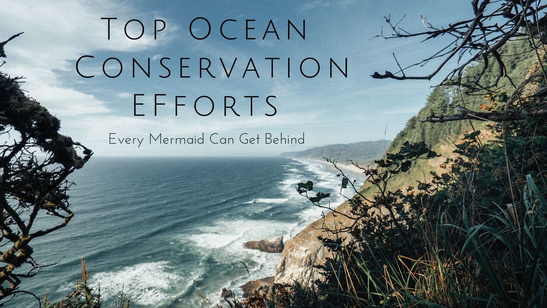 Top Ocean Conservation Efforts Every Mermaid Can Get Behind