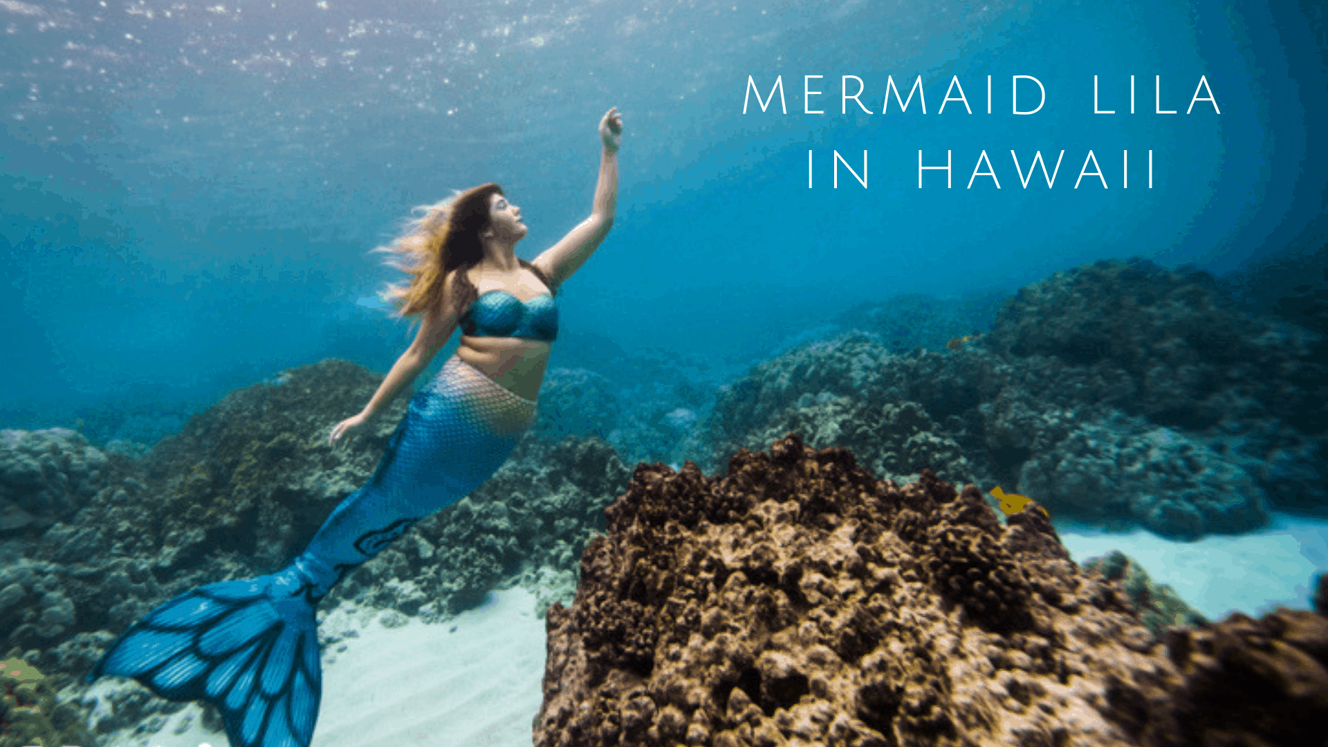 meet-mermaid-lila-in-hawaii-our-passionate-marine-biologist