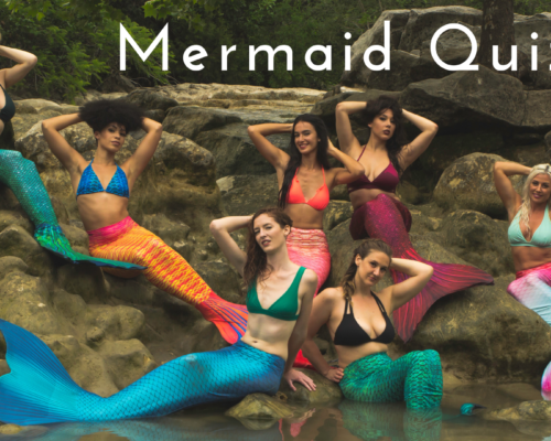 Mermaid Quiz
