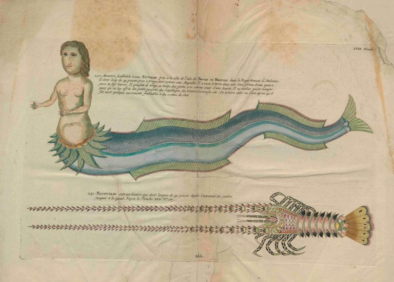 Mermaid Sightings By Map